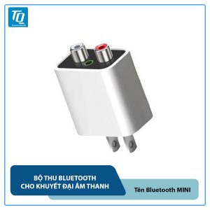 Bộ thu đầu ra kép Bluetooth cho bộ khuếch đại, Bộ thu phát Bluetooth 5.0